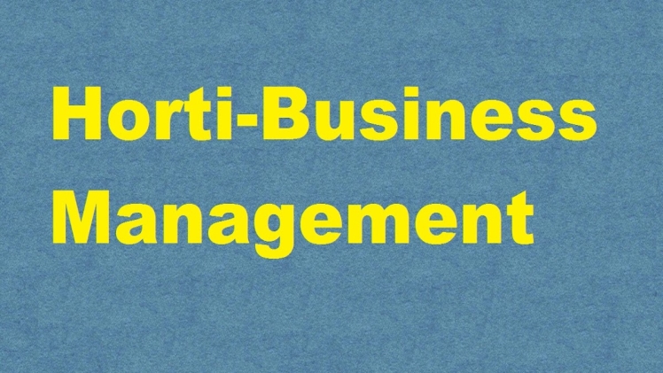 Business Definition PDF 1111 (18) Copy