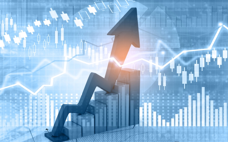 What Is an Economy? What is an Economy