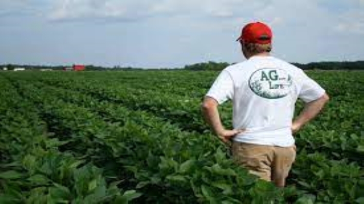 Money-Making Agriculture Business Ideas Download 2023 01 07t195843.234