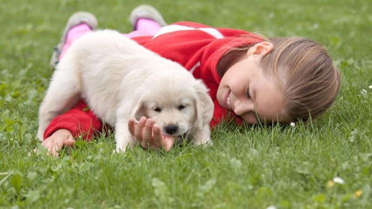 The benefits of pet-friendly breweries with a short title Download