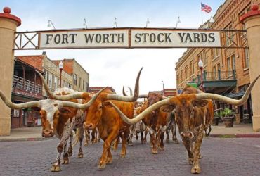 La Citta Del Texas Che Era Uno Dei Principali Mercati Di Bestiame