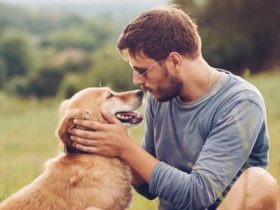 Perché Il Cane Si Mette in Mezzo Quando Ci Abbracciamo
