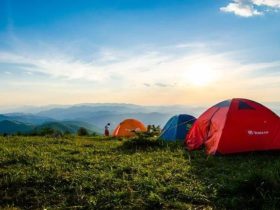 What to Pack When You Go Camping