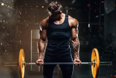 Curl Barbells the Game Changer You Need for Gains